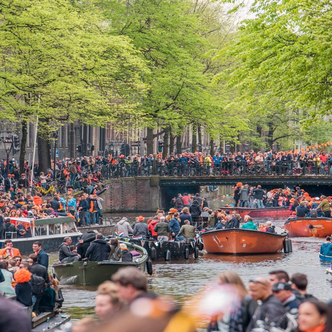 Kings day netherlands